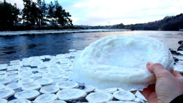 2014年にはパンケーキのような形状の氷の「皿」が英国の川に出現した/River Dee Trust/Jamie Urquhart